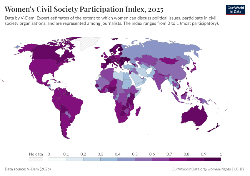 A thumbnail of the "Women's Civil Society Participation Index" chart